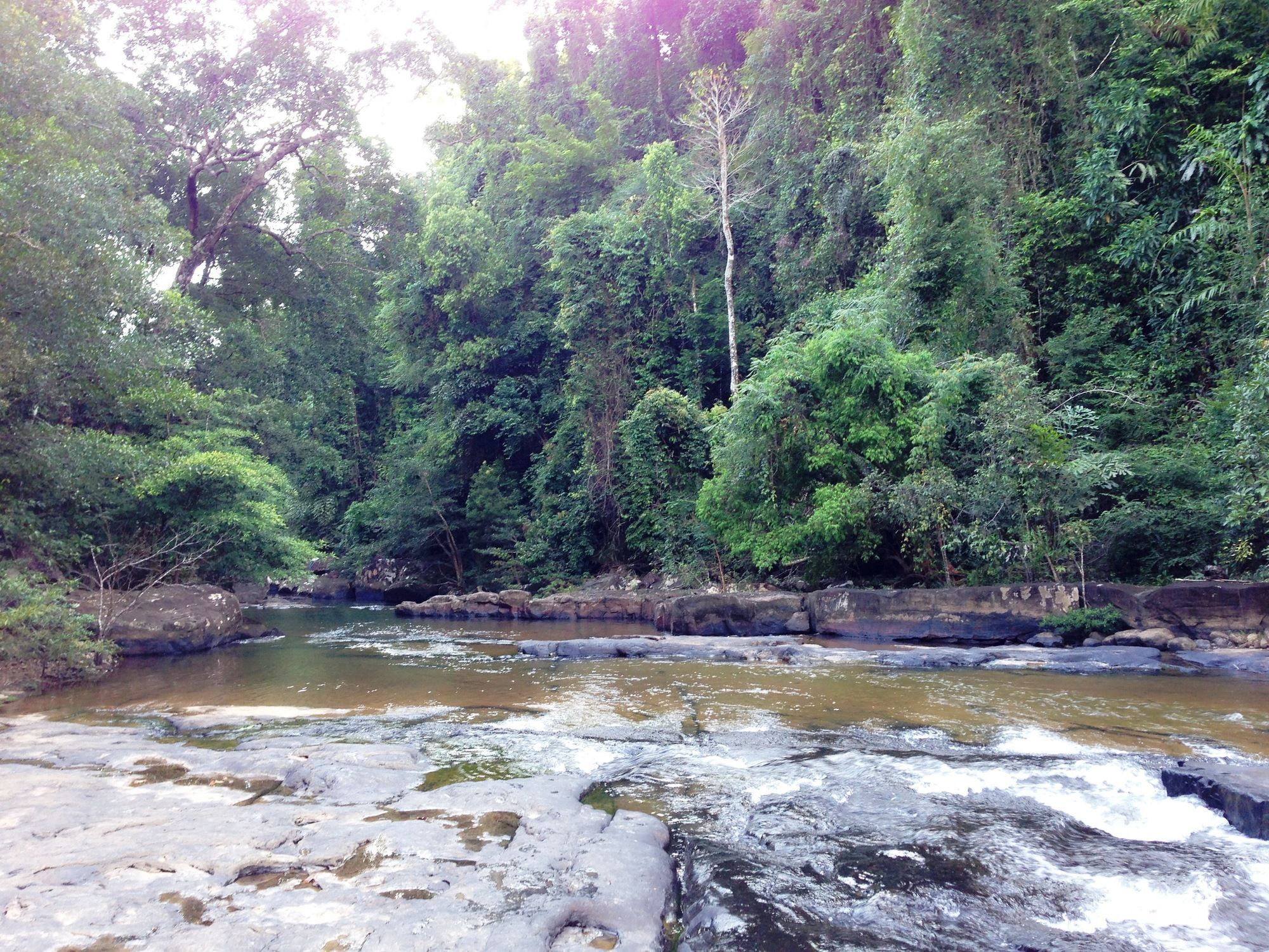 Jungle Koh Kood Resort Ban Khlong Chao Bagian luar foto